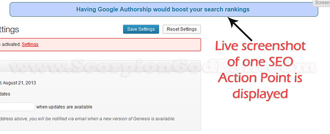 SEO Advicer Live Action Screenshot